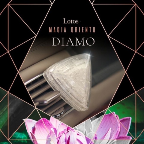 K2 DIAMO ZAPACH LOTUS
