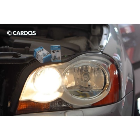 K2 CARDOS ŻARÓWKA H7 12V 55W PX26d