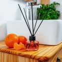 K2 ERLA SATO 50ML ZAPACH NEW DAY