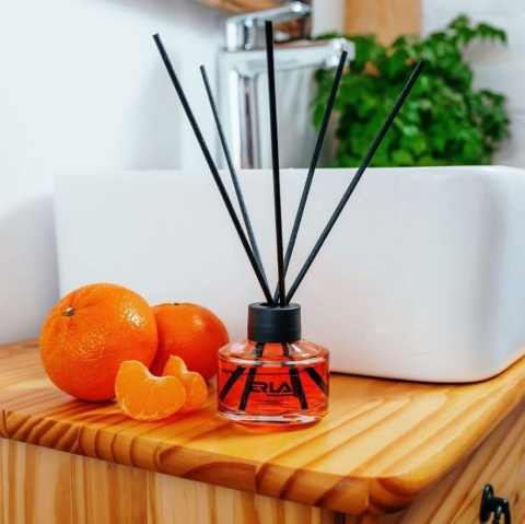 K2 ERLA SATO 50ML ZAPACH NEW DAY