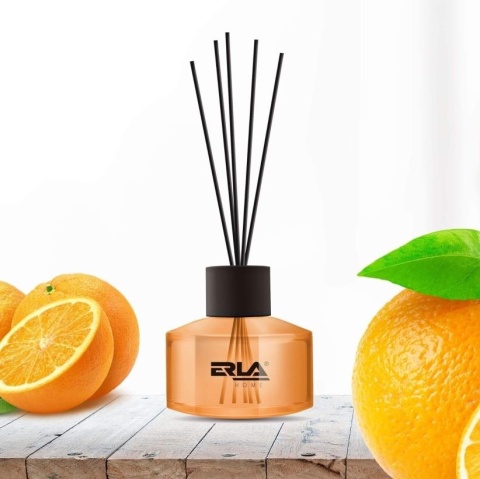 K2 ERLA SATO 50ML ZAPACH NEW DAY