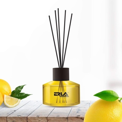 K2 ERLA SATO 50ML ZAPACH SUMMER TIME