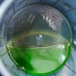 K2 ROXEL PŁYN DO MYCIA ŁAŃCUCHA I NAPĘDU 1L K2 W916