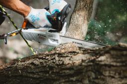 STIHL PILARKA SPALINOWA MS 194T STIHL 1137-200-0411
